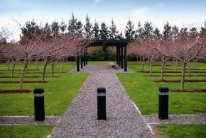 Memorial Cherry Trees at Featherston Remembrance Garden2