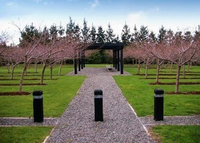 135 Remembrance Garden Featherston Memorial Cherry Trees