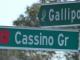065 Cassino Gr Upper Hutt Street Sign