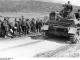 115 Hinton Pl Palmerston North Allied POWs being led away from the battlefield at Kalamata.