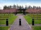 135 Remembrance Garden Featherston Memorial Cherry Trees