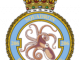 243 Mason Place Richmond 206 Squadron Badge