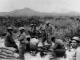 279 Takrouna Gr LMC Palm Nth Tending wounded near Takrouna 28th Maori Battalion