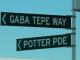 291 Gaba Tepe Way TMC Upper Hutt street sign 2018
