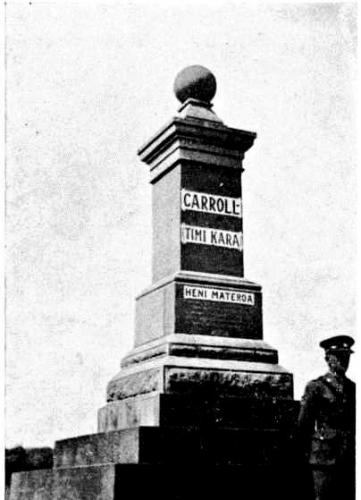 036 Carroll Street Palmerston North The grave of Sir James Carroll