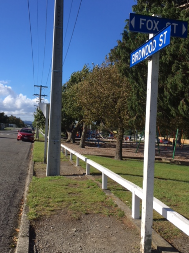 107 Birdwood St Featherston street scene