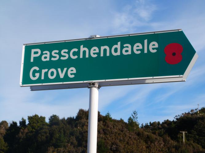 128 Passchendaele Gr Upper Hutt street sign2