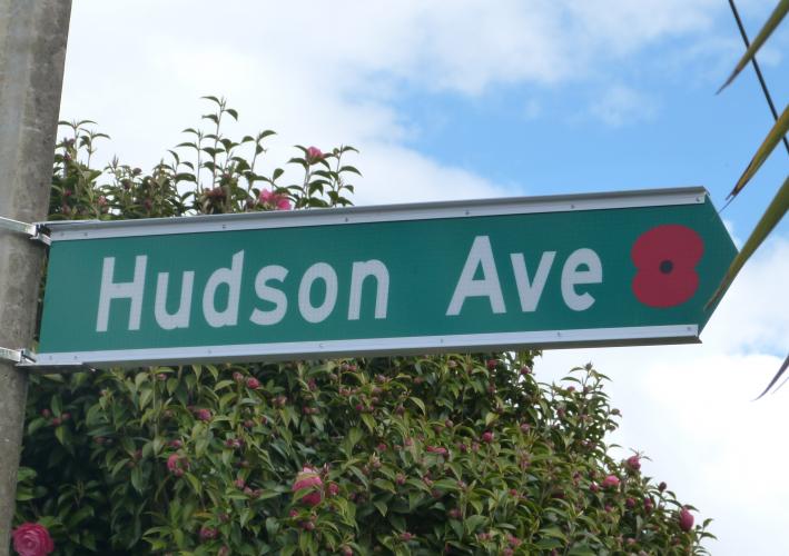 129 Hudson Ave Upper Hutt new street sign 2019