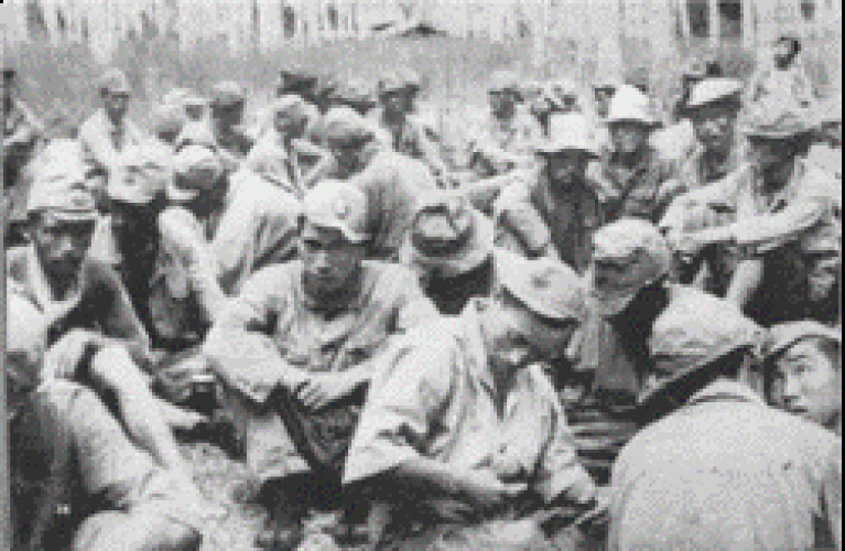 135 Remembrance Garden Featherston Japanese POWs at Featherston Camp