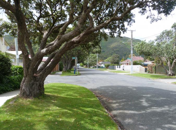 166 Malone Road Lower Hutt street scene 2019