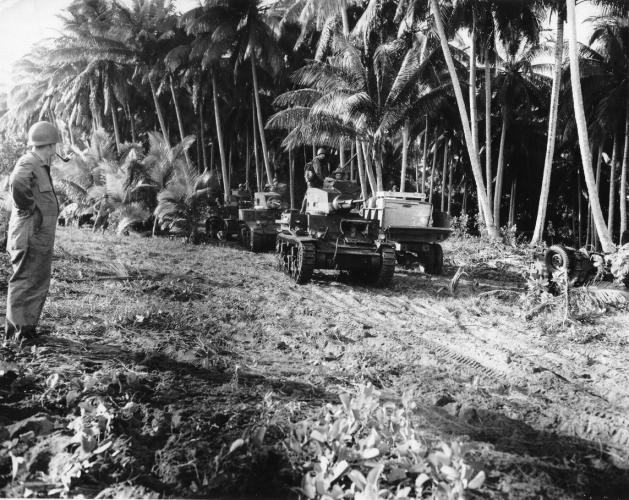 219 Henderson Cres Napier Japanese tank on Guadalcanal