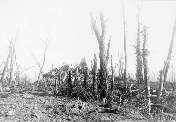 229 Nicholas Street Napier The ruins of Polderhoek Chateau 1917