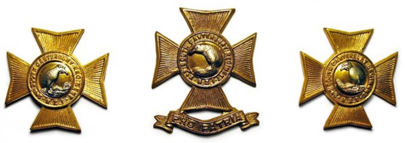 248 Win Place Richmond Infantry cap badge