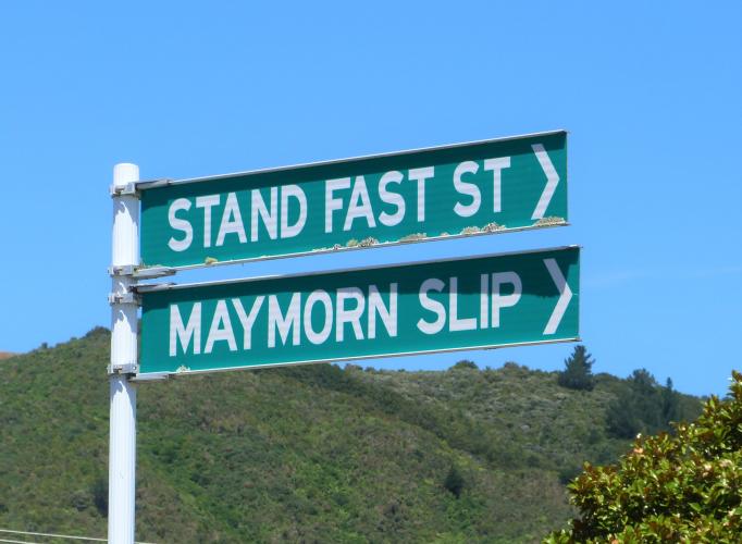 293 Stand Fast St TMC Upper Hutt street sign 2019