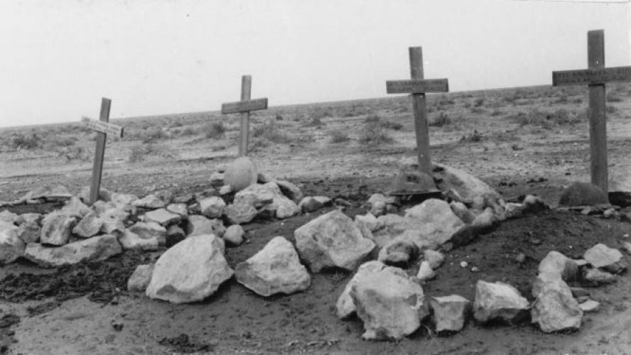 296 Bel Hamed Dr TMC Upper Hutt NZ graves at Belhamed