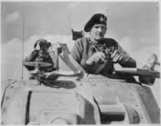302 Montgomery Ave Onerahi Whangarei Monty in his Command Tank