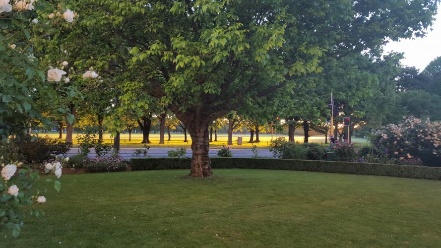 303 Nurses Memorial Chapel CHCH. Shade Trees around the chapel