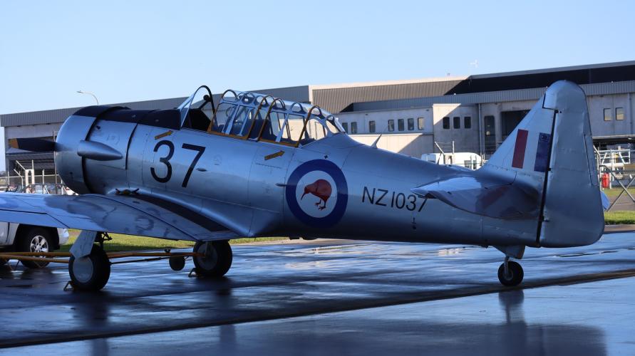 362 Harvard Trainer NZ 1037